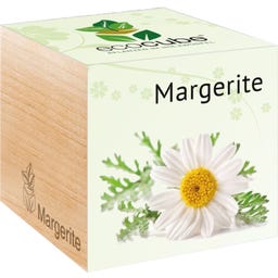 Feel Green ecocube 