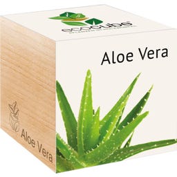 Feel Green ecocube 