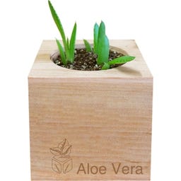 Feel Green ecocube 
