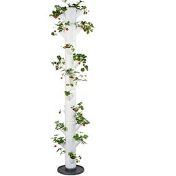 Gusta Garden Erdbeerturm - Sissi Strawberry Infinity