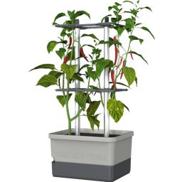 Gusta Garden Charly Chili - Planter