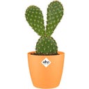 elho brussels Rund Kruka Mini 7 cm