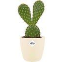 elho brussels Rund Kruka Mini 7 cm