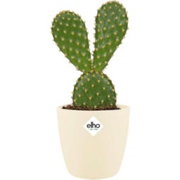 elho brussels Rund Kruka Mini 7 cm