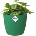 elho brussels Rund Kruka Mini 7 cm