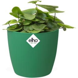 elho brussels Rund Kruka Mini 7 cm