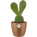 elho brussels Rund Kruka Mini 7 cm