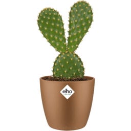 elho brussels Rund Kruka Mini 7 cm