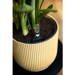 elho Cache-Pot VIBES FOLD Rond - 25 cm