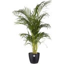elho brussels round, 30 cm