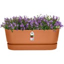 elho Balconnière GREENVILLE Long - 50 cm