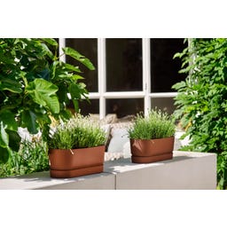 elho Balconnière GREENVILLE Long - 50 cm
