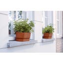 elho Balconnière GREENVILLE Long - 50 cm