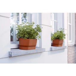 elho Balconnière GREENVILLE Long - 50 cm