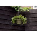 elho vibia campana Hanging Basket 26 cm