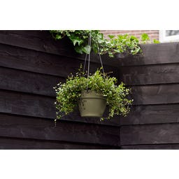 elho vibia campana Hanging Basket 26 cm