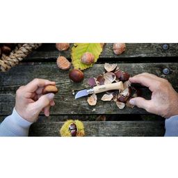 Nož za rezanje kostanjev oz. maronov N°7 z ročajem iz kostanjevega lesa - 1 kos