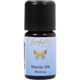 Farfalla Mimose 20%, (80% Alcohol) Essential Oil