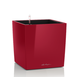 Lechuza Plantenbak CUBE Premium 30 - Scharlakenrood hoogglans