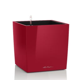 Lechuza CUBE Premium 40 Planter  - Scarlet red high gloss