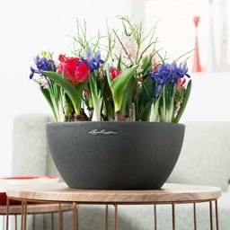 Lechuza CUBETO Stone 30 Planter - Graphite Black