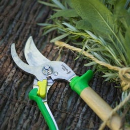 Opinel Hand Pruner - Green