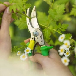 Opinel Hand Pruner - Green