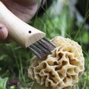 Opinel Folding Mushroom Knife N°08, Beech Wood - 1 item
