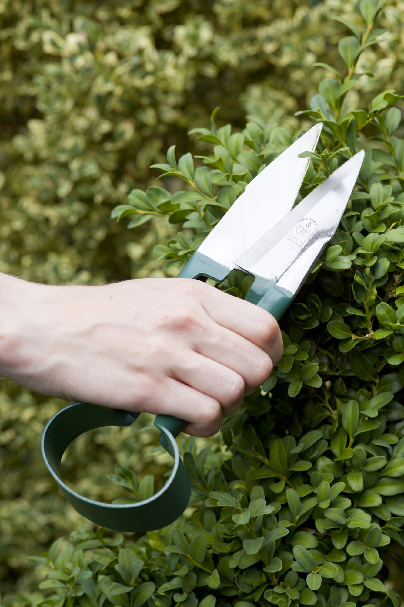 Burgon & Ball Hedge Trimmer - 1 item