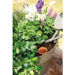 Deroma AquaDO - Watering Pot H 15cm 