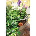 Deroma AquaDO - Watering Pot H 15cm 