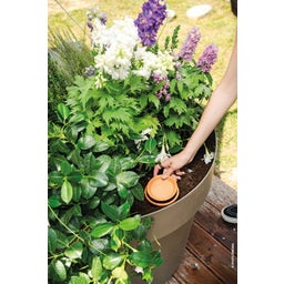 Deroma AquaDO - Watering Pot H 15cm 