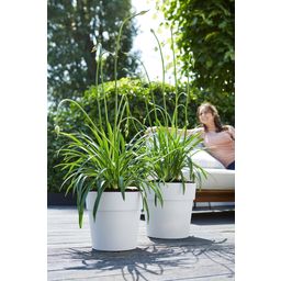 elho Pot VIBIA Straight Rond - 47 cm - Blanc