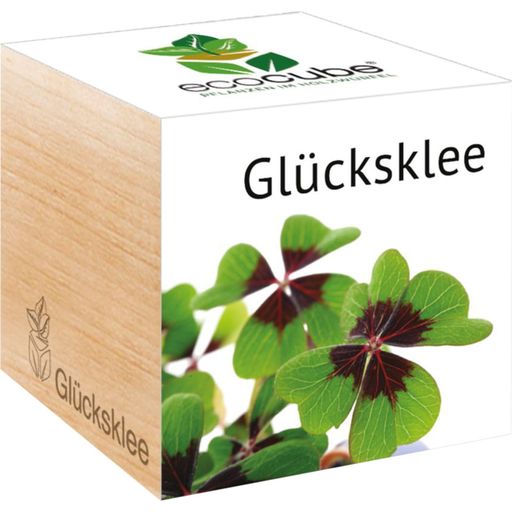 Feel Green ecocube "Glücksklee" - Glücksklee