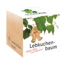 Feel Green ecocube - Albero Pan di Zenzero - 1 pz.