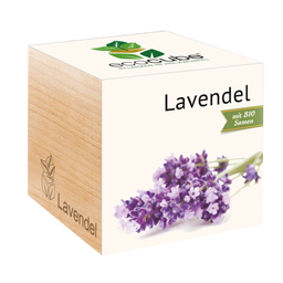 Feel Green ecocube “Lavendel