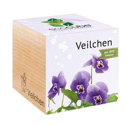 Feel Green ecocube “Violetter"
