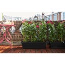 elho barcelona Balcony Box 90cm - Anthracite