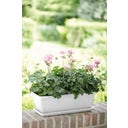 elho barcelona Balcony Box Coaster 50cm - White