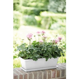 elho barcelona Balcony Box Coaster 50cm - White