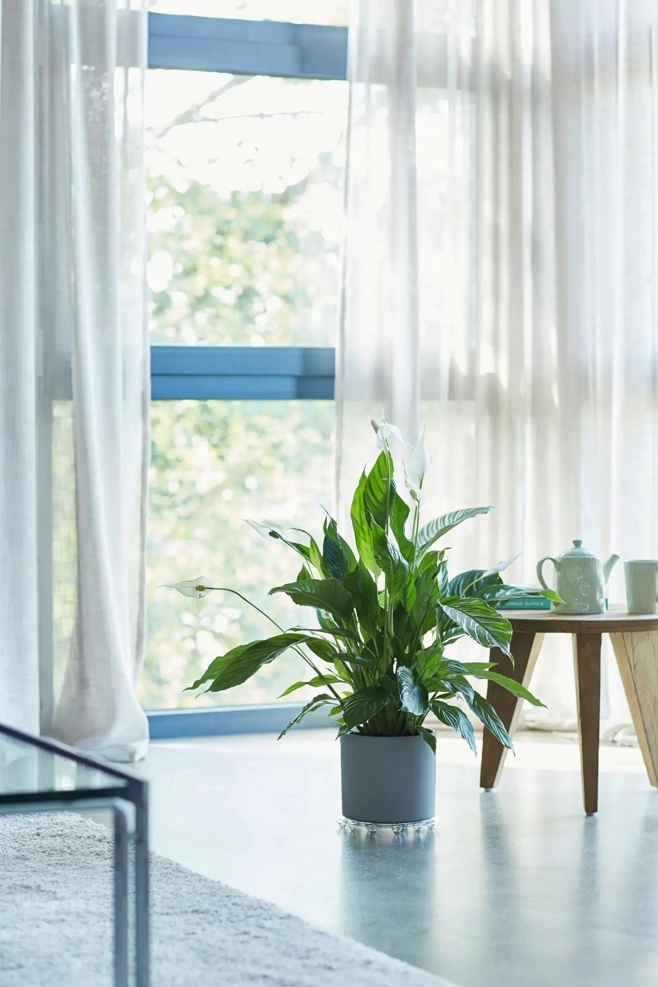 elho floorprotector rund