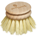 ecoLiving Brush Head for Wooden Dish Brushes - 1 Pc
