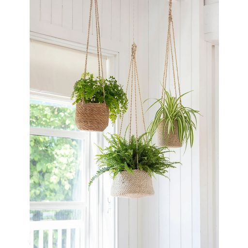 Garden Trading Hanging Basket - Flat