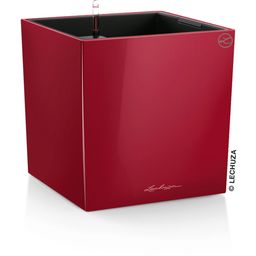 Lechuza Cube Planter 40 in Scarlet Red