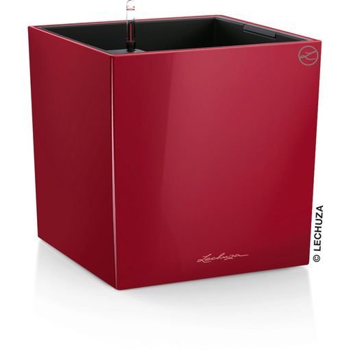 Lechuza Cube Planter 40 in Scarlet Red