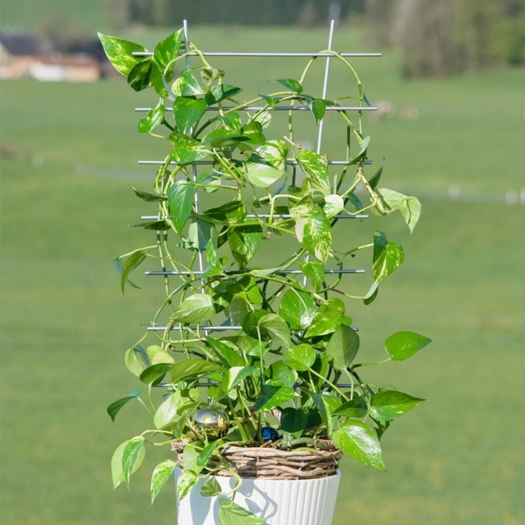 Windhager Blumenstütze Metall