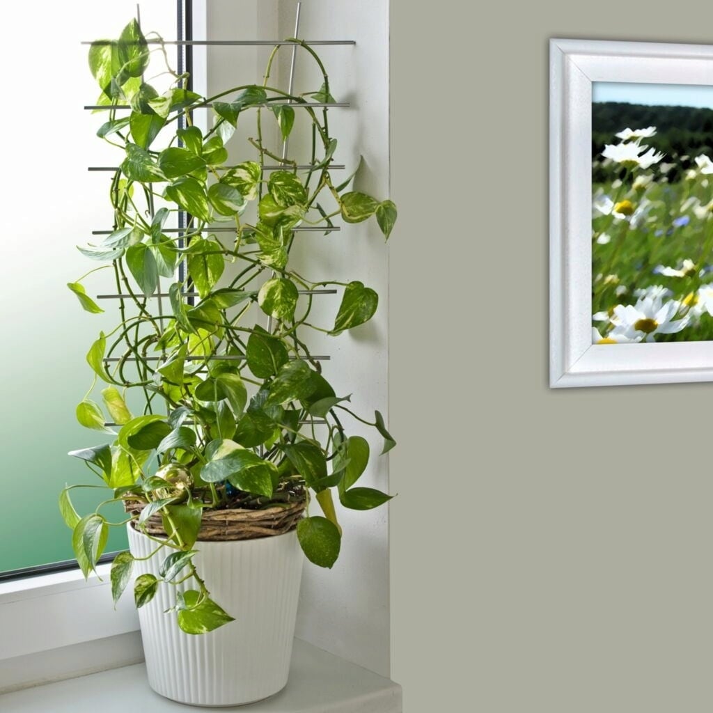 Windhager Blumenstütze Metall