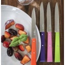 Opinel Set di Coltelli 