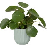 elho Vibes Fold Round, 18 cm