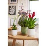 elho vibes fold Rund Kruka 18 cm